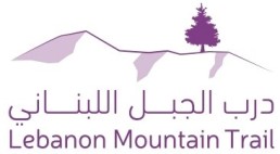 LMT Logo